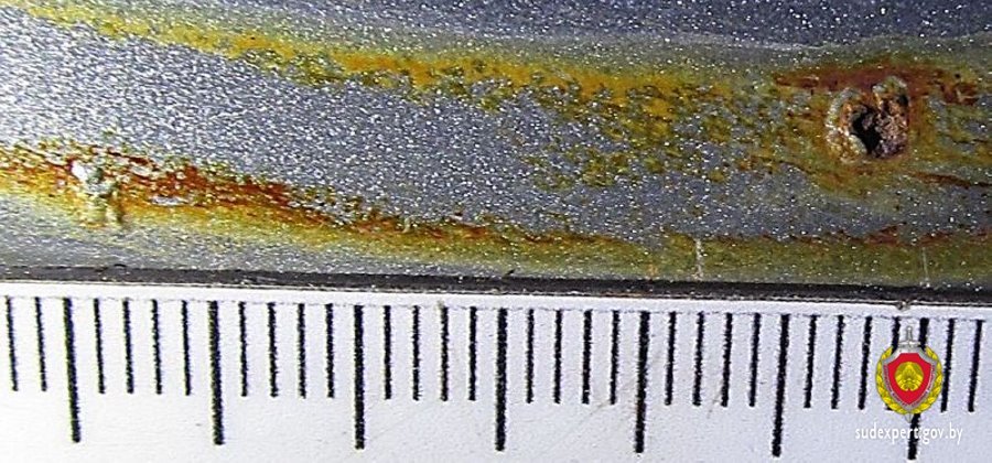 Взяли в салоне новый автомобиль, а на нем «жуки» — как такое возможно?