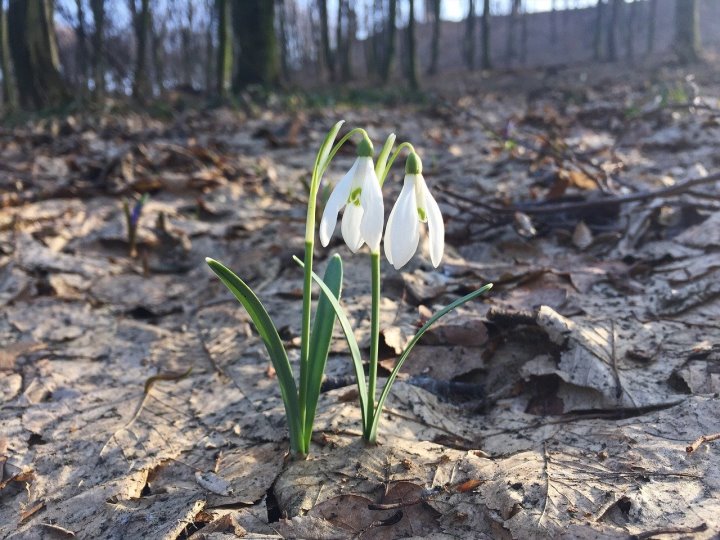 Фото из открытых источников (иллюстративное)