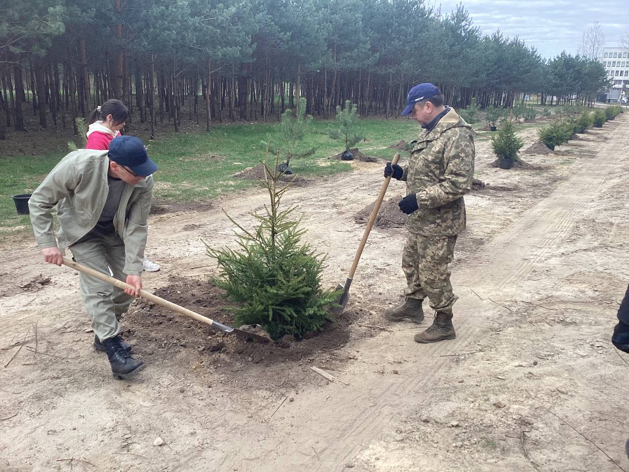 Республиканский субботник проходит в Бресте