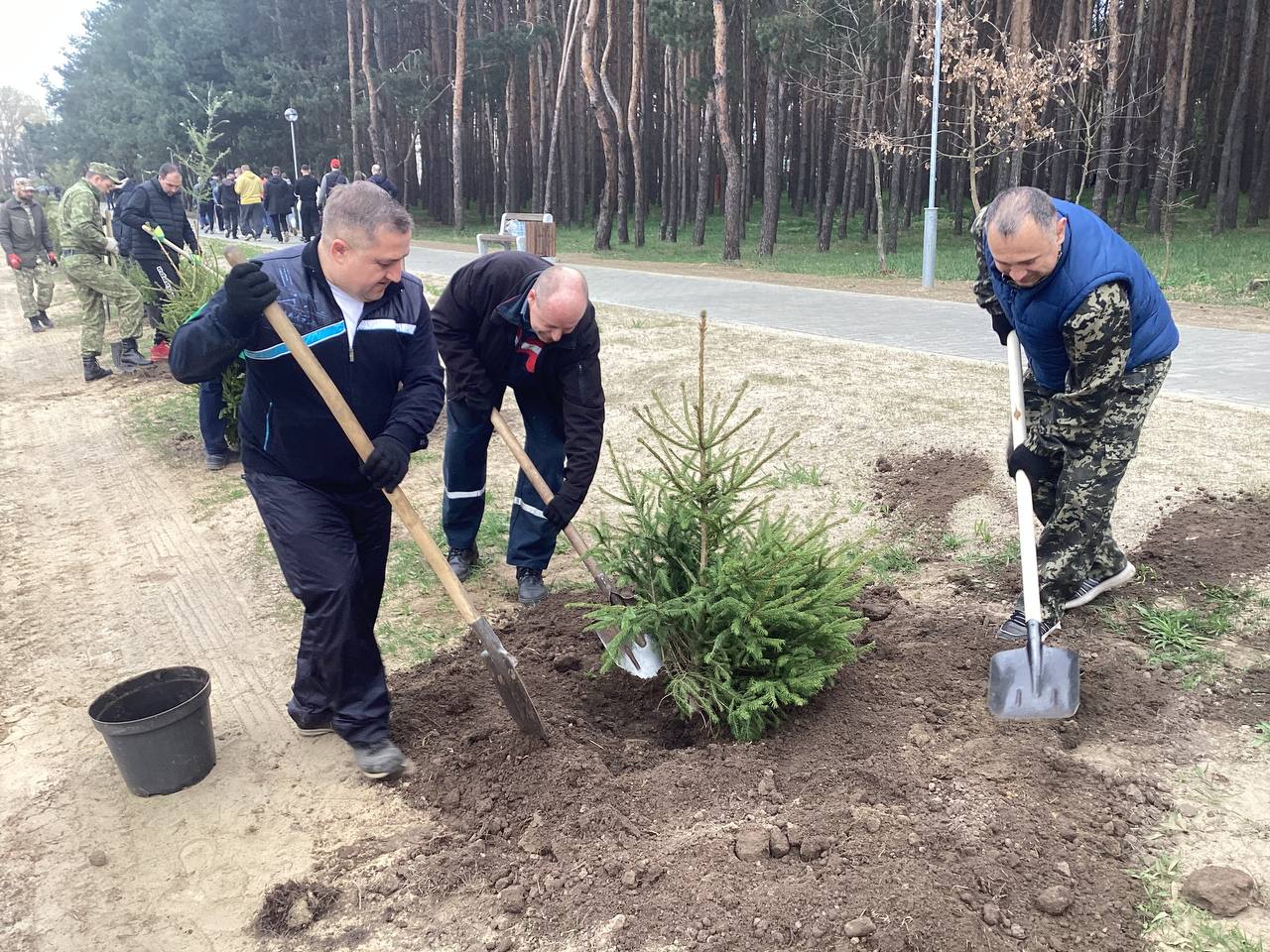Республиканский субботник проходит в Бресте