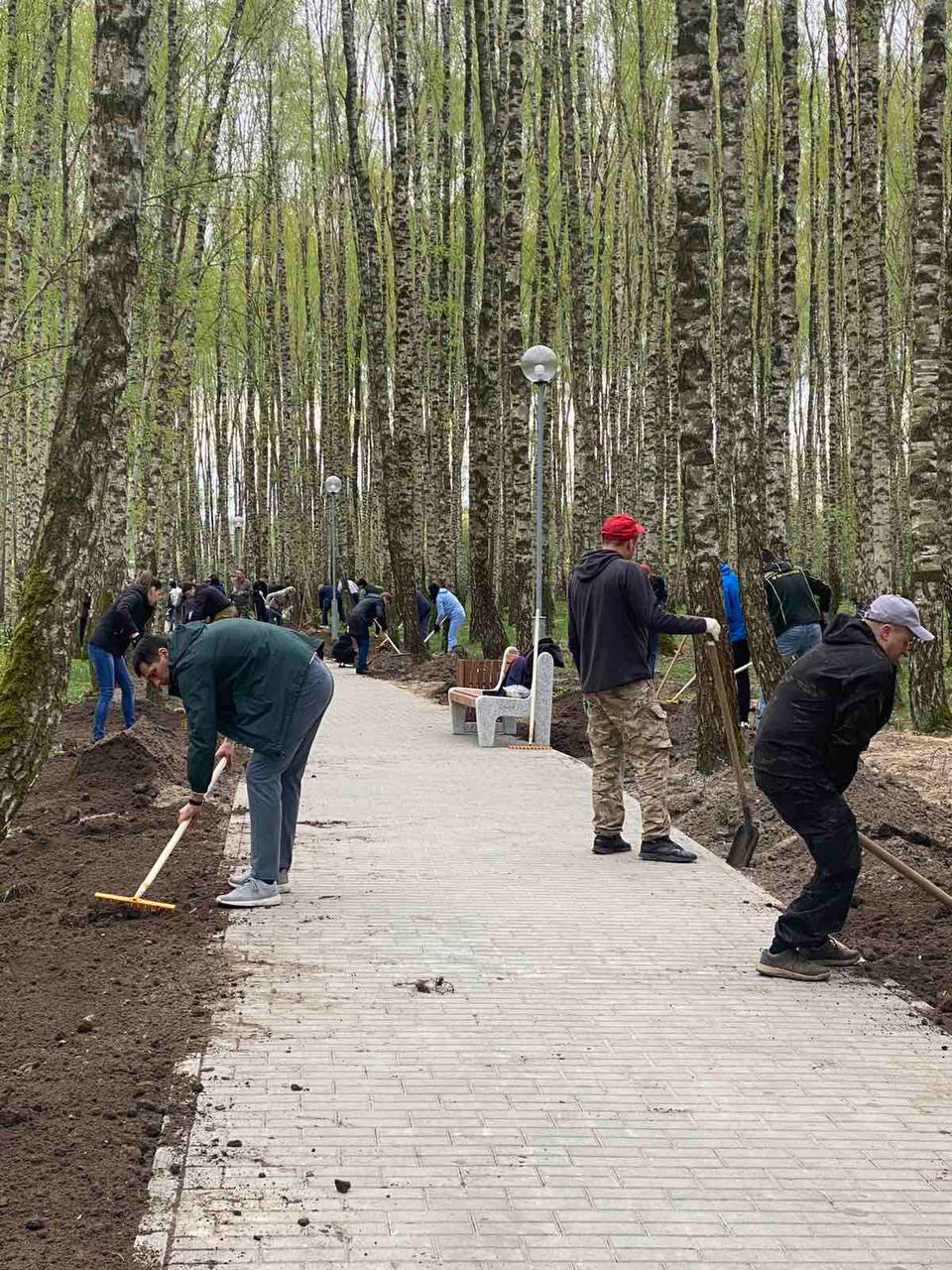Республиканский субботник проходит в Бресте