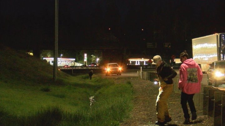 Очень странные дела. Мужчина разбросал из машины на ходу $200 тысяч