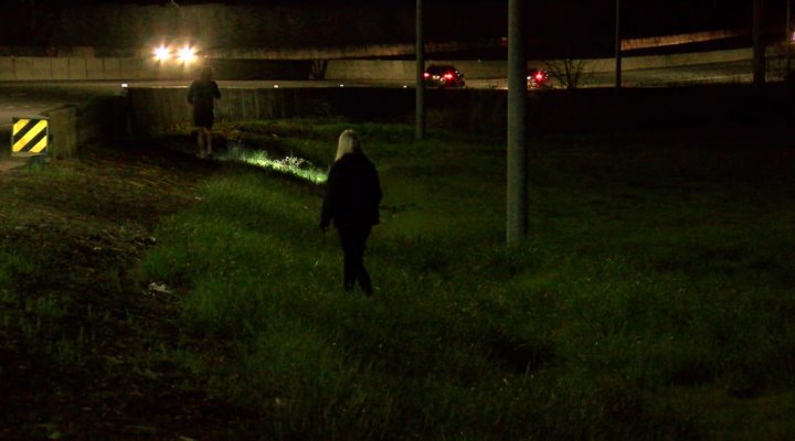 Очень странные дела. Мужчина разбросал из машины на ходу $200 тысяч