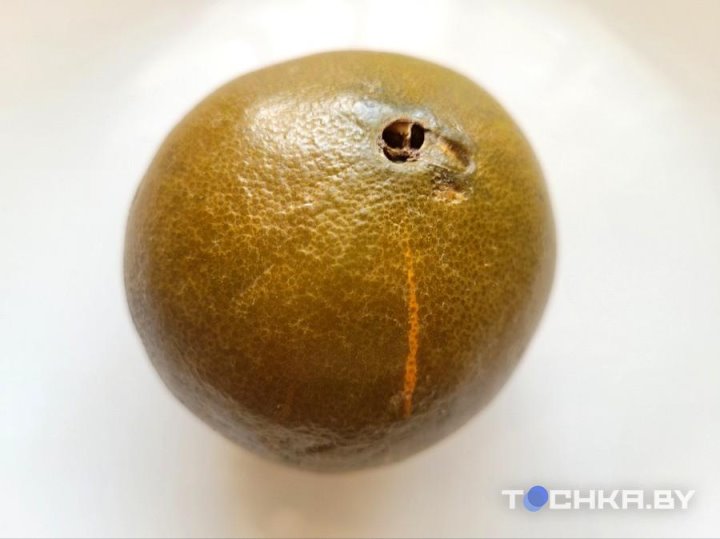 В магазинах появились шоколадные апельсины, но они не всем по карману