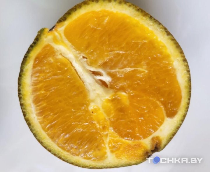 В магазинах появились шоколадные апельсины, но они не всем по карману