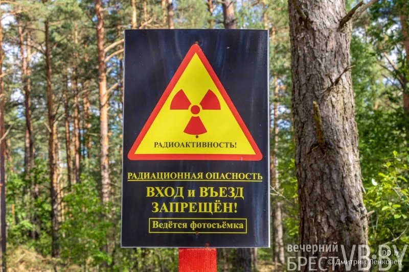 Отселенная жизнь. Как выглядят деревни белорусского Полесья, оставшиеся без людей в 1986-м?