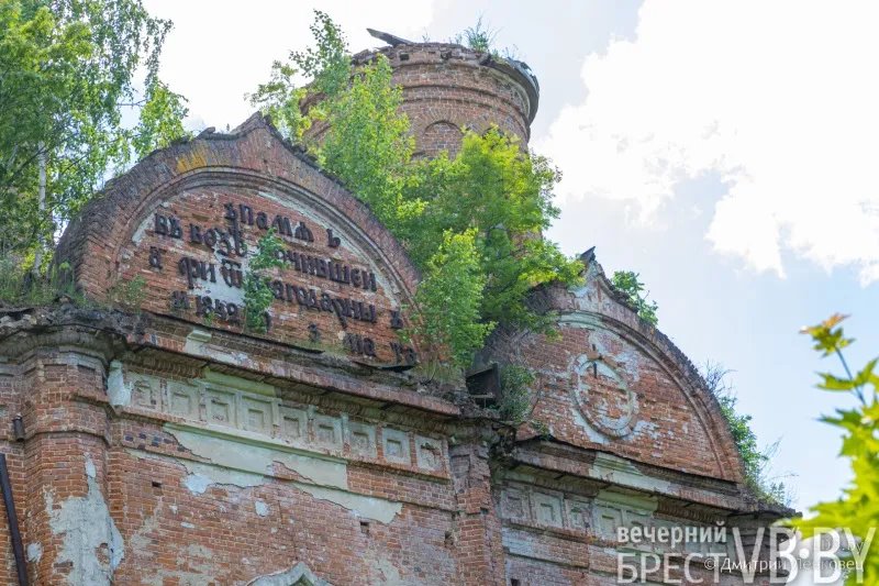 Отселенная жизнь. Как выглядят деревни белорусского Полесья, оставшиеся без людей в 1986-м?