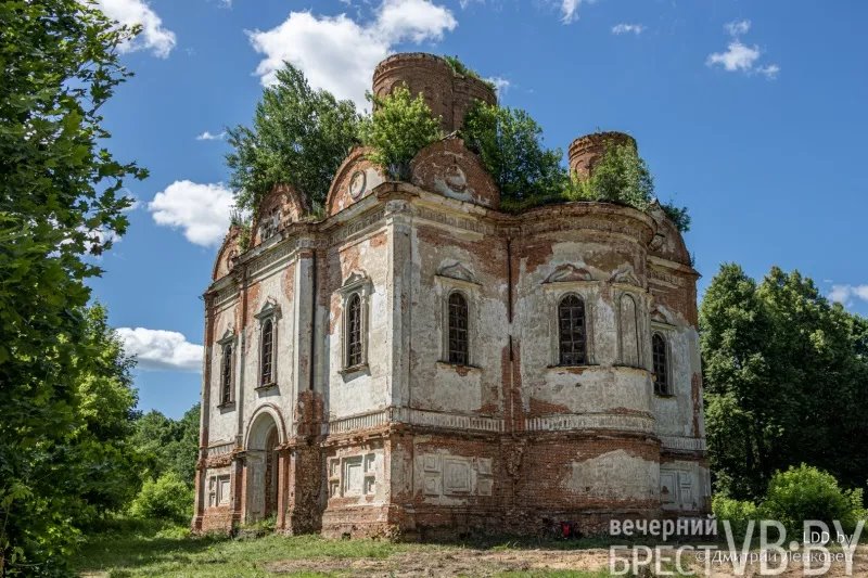 Отселенная жизнь. Как выглядят деревни белорусского Полесья, оставшиеся без людей в 1986-м?