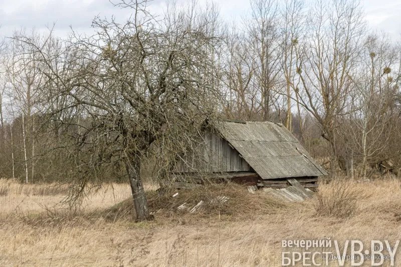 Отселенная жизнь. Как выглядят деревни белорусского Полесья, оставшиеся без людей в 1986-м?