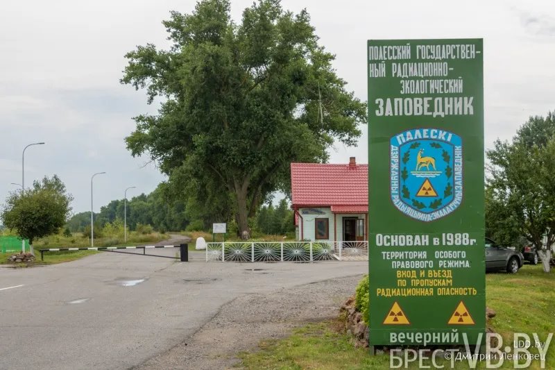 Отселенная жизнь. Как выглядят деревни белорусского Полесья, оставшиеся без людей в 1986-м?