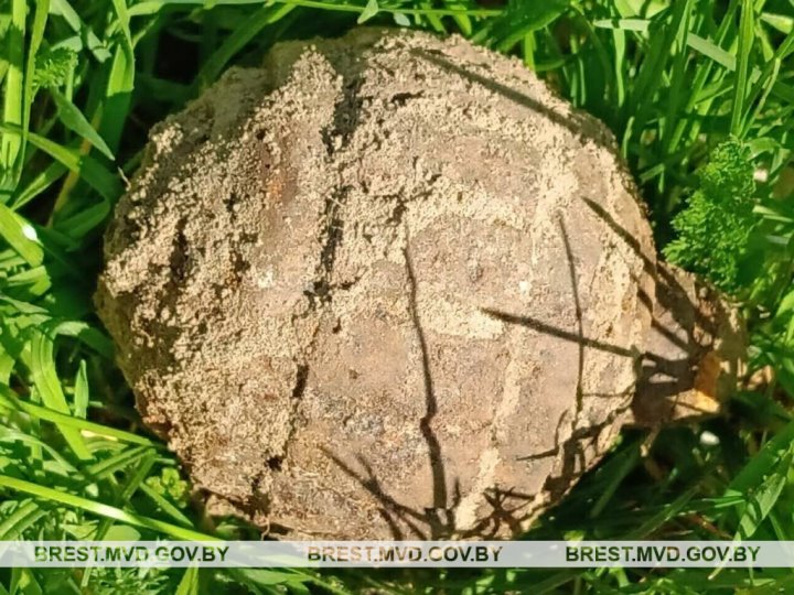 Опасная находка! В Каменецком районе обнаружена граната времен Первой мировой войны