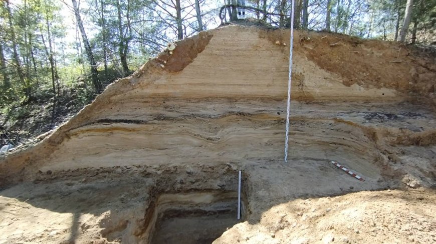 В Брестской области археологи нашли артефакты возрастом около 200 тыс. лет