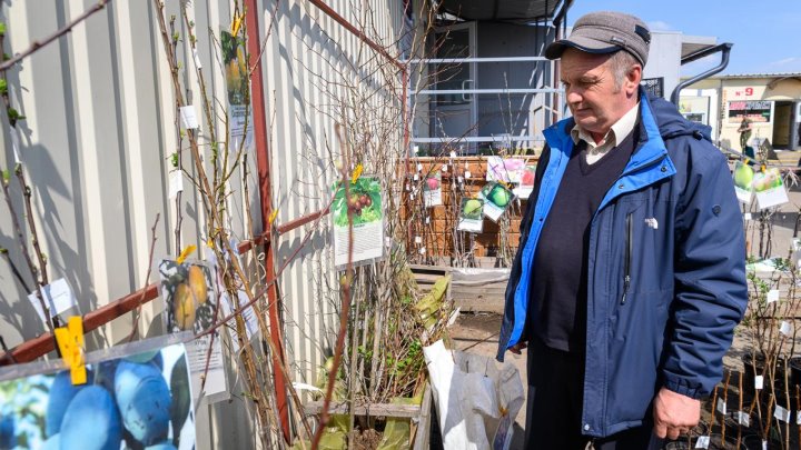 Жители райцентра рассказали, во сколько им обходятся дачи и приусадебные участки