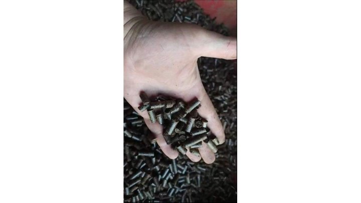 Получили бизнес в наследство вместе с долгами: как пара из Беларуси спасает семейное дело