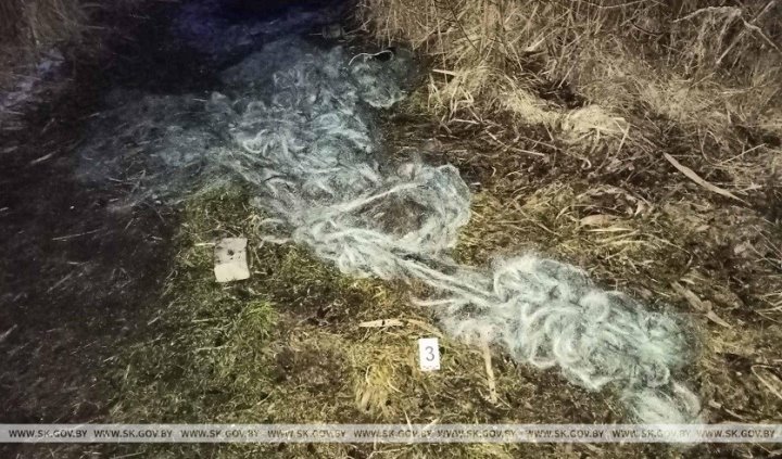 В Брестской области за сутки задержаны три браконьера, которые ловили рыбу сетями