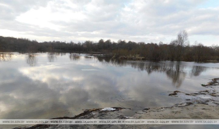 В Брестской области за сутки задержаны три браконьера, которые ловили рыбу сетями