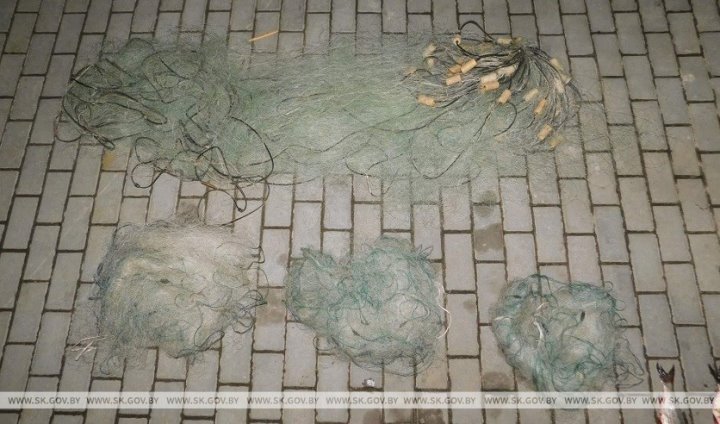 В Брестской области за сутки задержаны три браконьера, которые ловили рыбу сетями