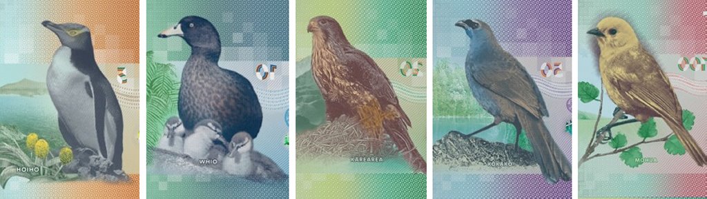 Как выглядят доллары разных стран мира – собрали самые красивые и необычные банкноты