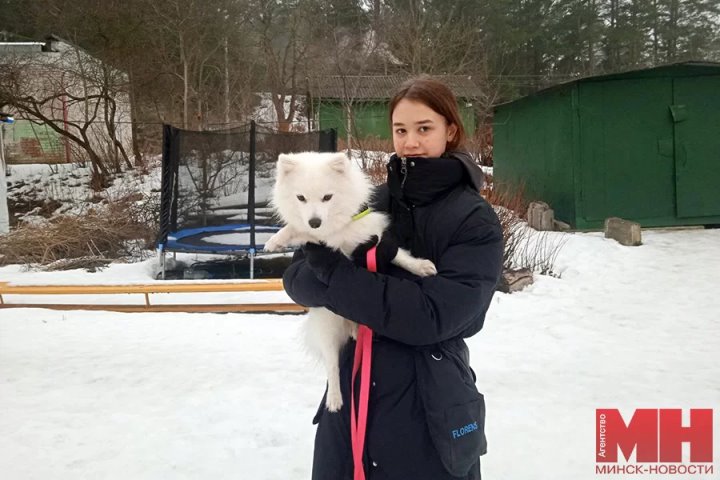Через туннели, барьеры и предрассудки. Рассказываем о белоруске, с 10 лет дрессирующей собак