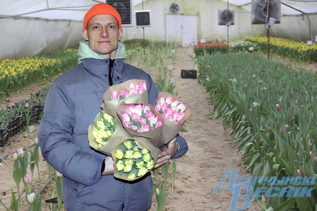 Житель Брестской области рассказал секреты выращивания тюльпанов