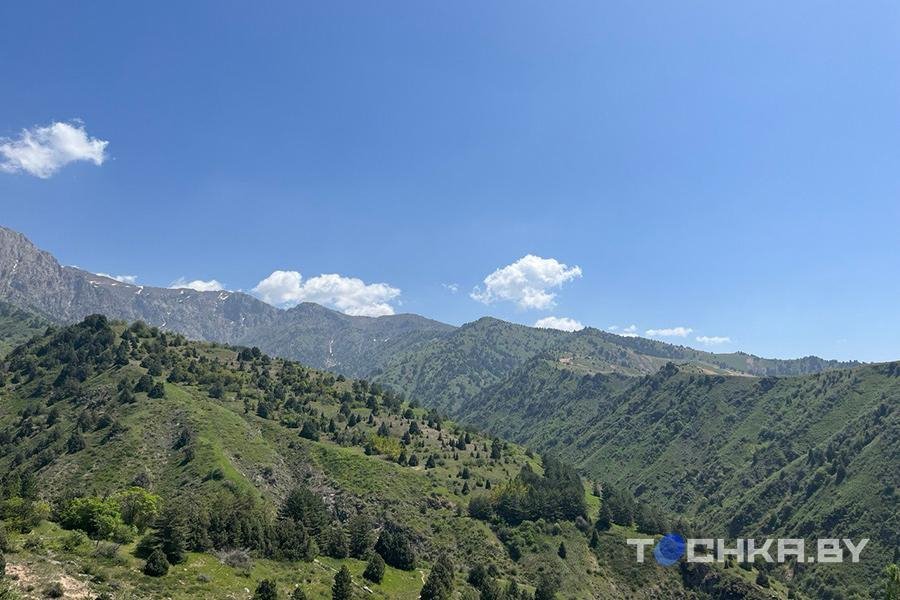 Белорусских туристов зовут в Узбекистан: что и почем там предлагают