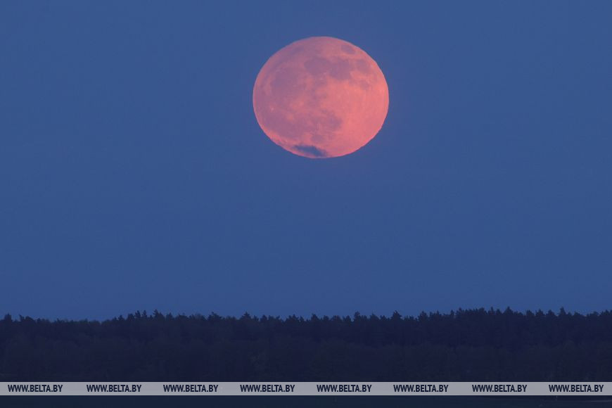 Если пропустили: Посмотрите на вчерашнее полутеневое затмение луны и цветочное полнолуние