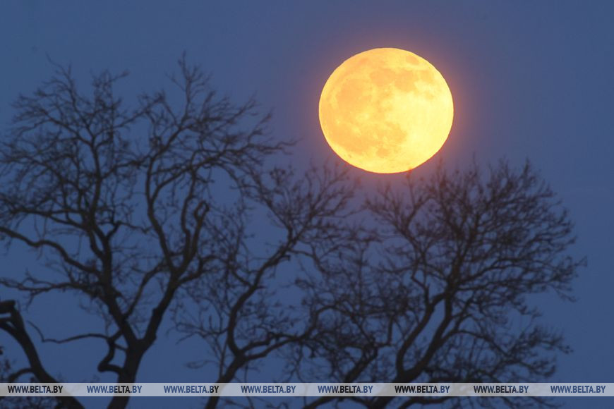 Если пропустили: Посмотрите на вчерашнее полутеневое затмение луны и цветочное полнолуние