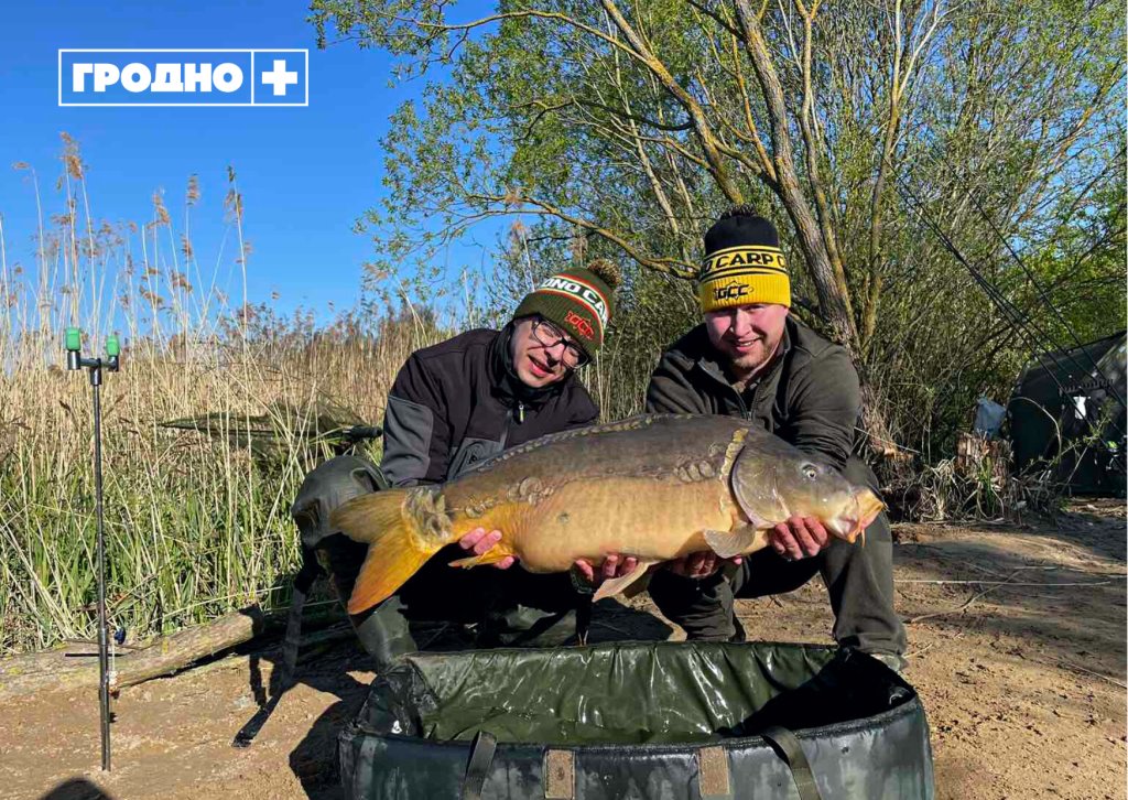 Белорусы выловили гигантского карпа весом почти 18 килограмм