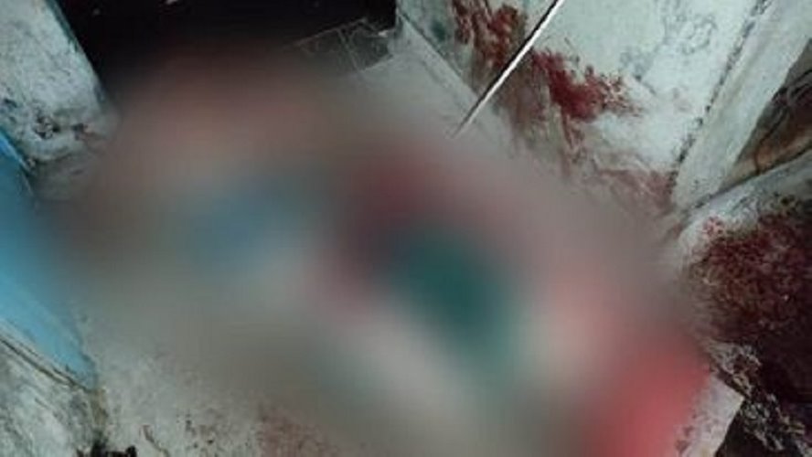 В Жодино собаки загрызли хозяина квартиры