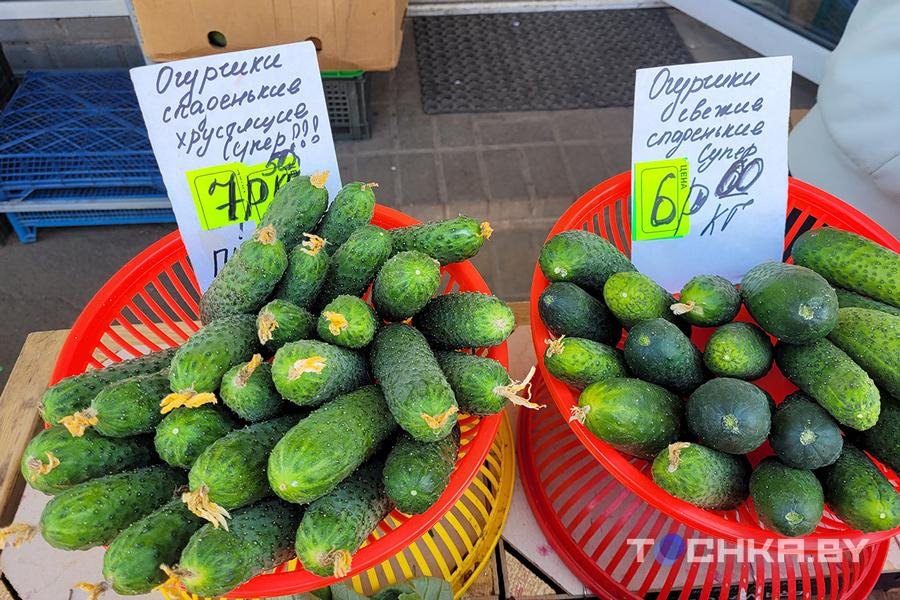 На минских рынках появились столинские огурцы – почем продают