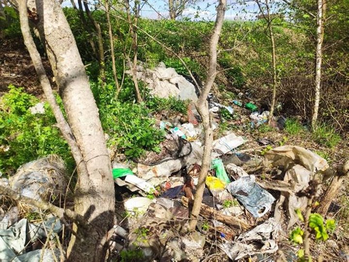 В Пинском районе нарушителей заставили убрать за собой свалку