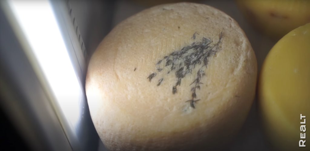 «Приехал отдохнуть — и остался жить». Молодой белорус поселился в деревне, завел хозяйство и делает сыр