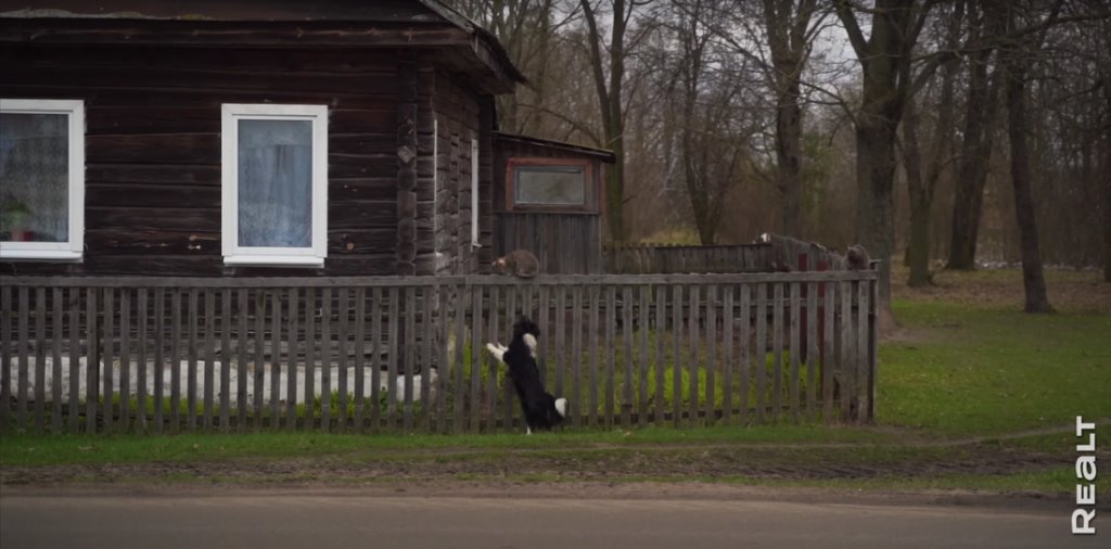 «Приехал отдохнуть — и остался жить». Молодой белорус поселился в деревне, завел хозяйство и делает сыр