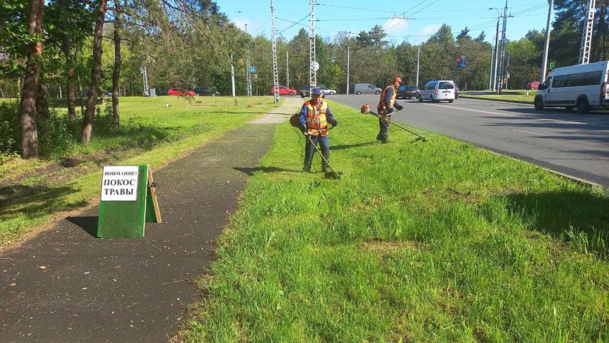 В Бресте ведется интенсивный покос травы