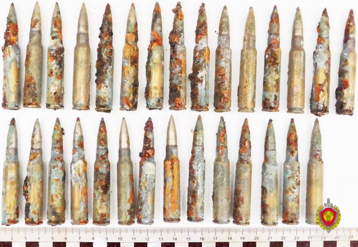 В Брестской области мужчина выкопал на своем участке пулемет Шательро