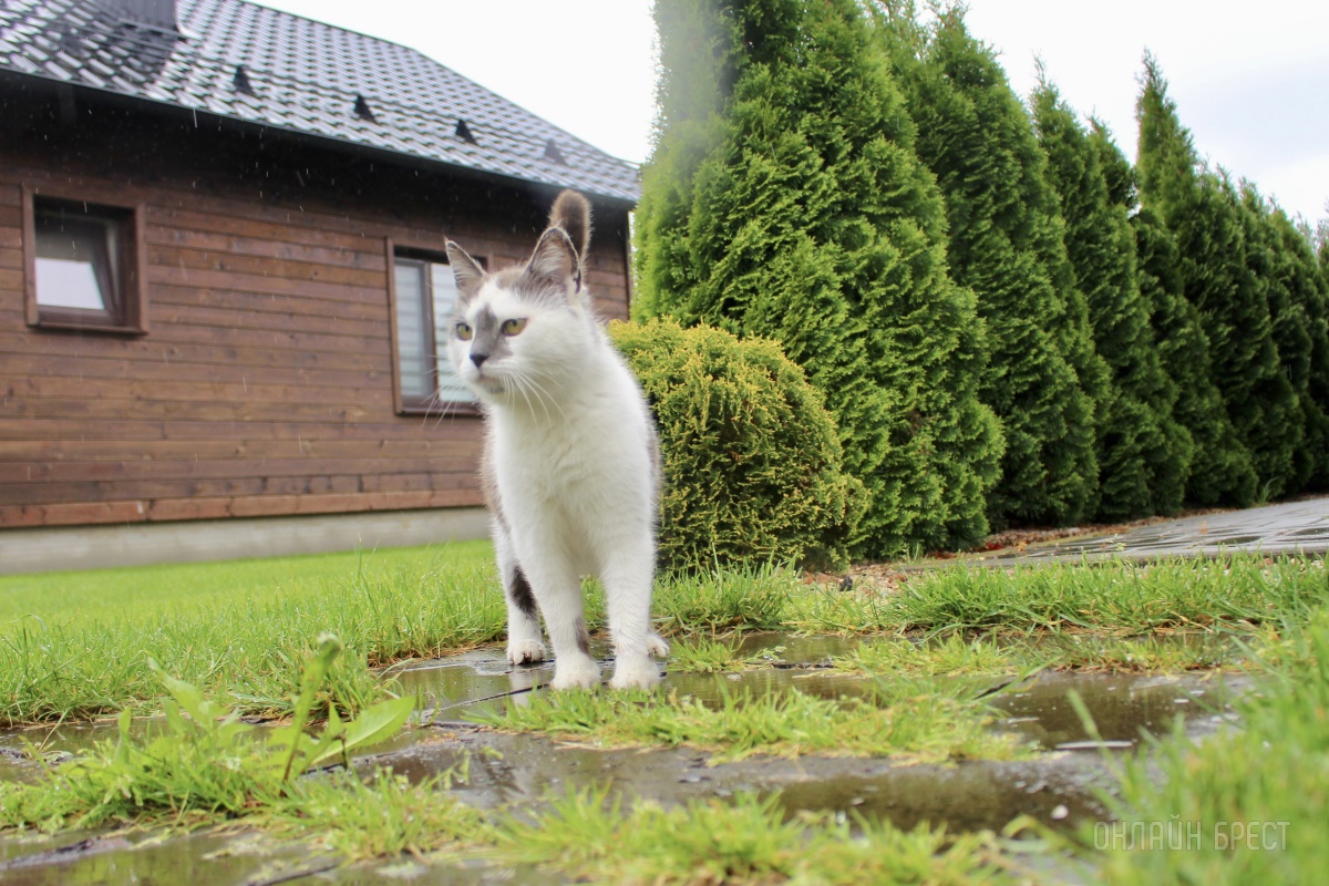 Пора отдохнуть всей семьей в живописном месте на берегу реки! База отдыха «Камыши»: домики, баня, гриль, бильярд, батут, пляж