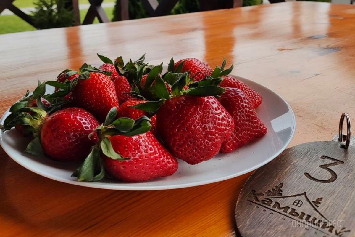 Пора отдохнуть всей семьей в живописном месте на берегу реки! База отдыха «Камыши»: домики, баня, гриль, бильярд, батут, пляж