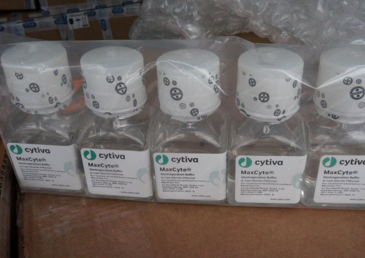 Раствор для электропорации стоимостью порядка 35 тыс. рублей пытались незаконно переместить из Германии. Нарушение выявили в пункте пропуска «Козловичи»