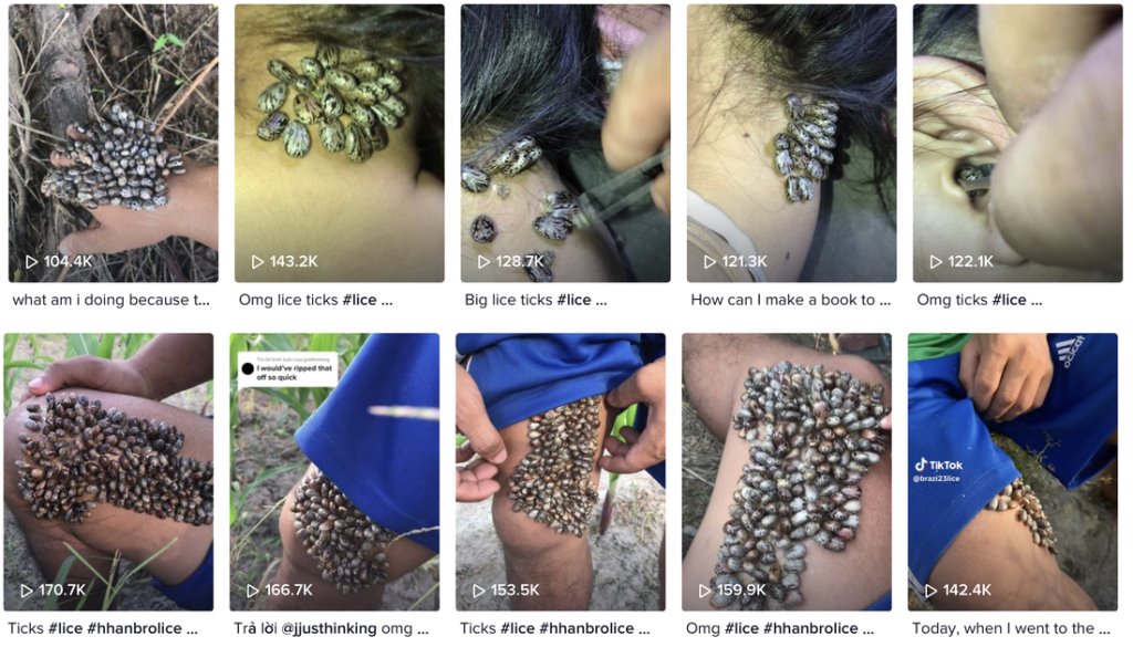 Что за дичь? В TikTok десятки миллионов просмотров набирают ролики «коллекционеров клещей»