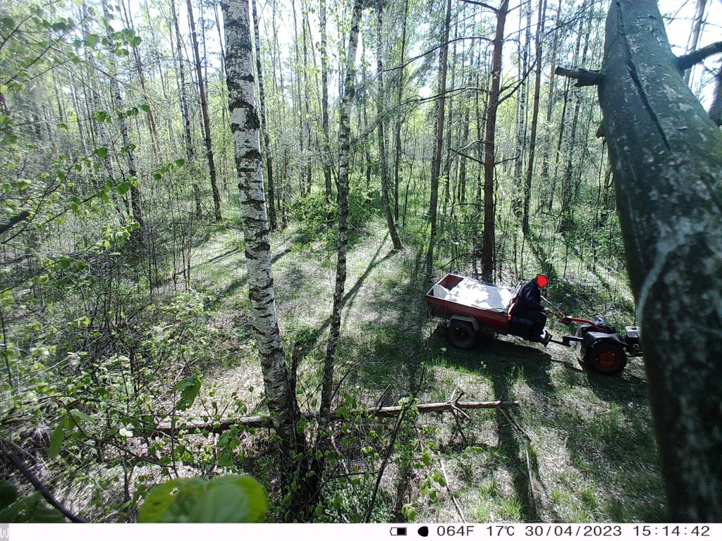 Житель Лунинецкого района съездил в лес и «насобирал» кучу административных статей