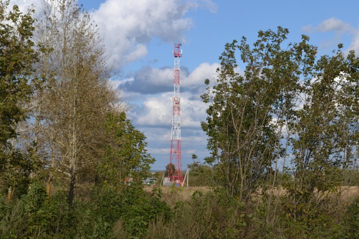 Фото из открытых источников (иллюстративное)