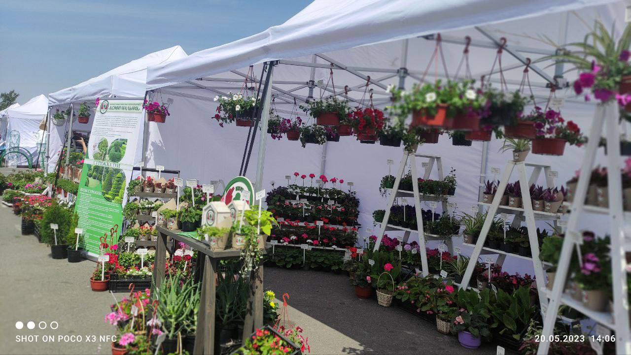 В Бресте на площадке у торгового центра «ЭКВАТОР» проходит выставка-ярмарка «Садовый маркет»