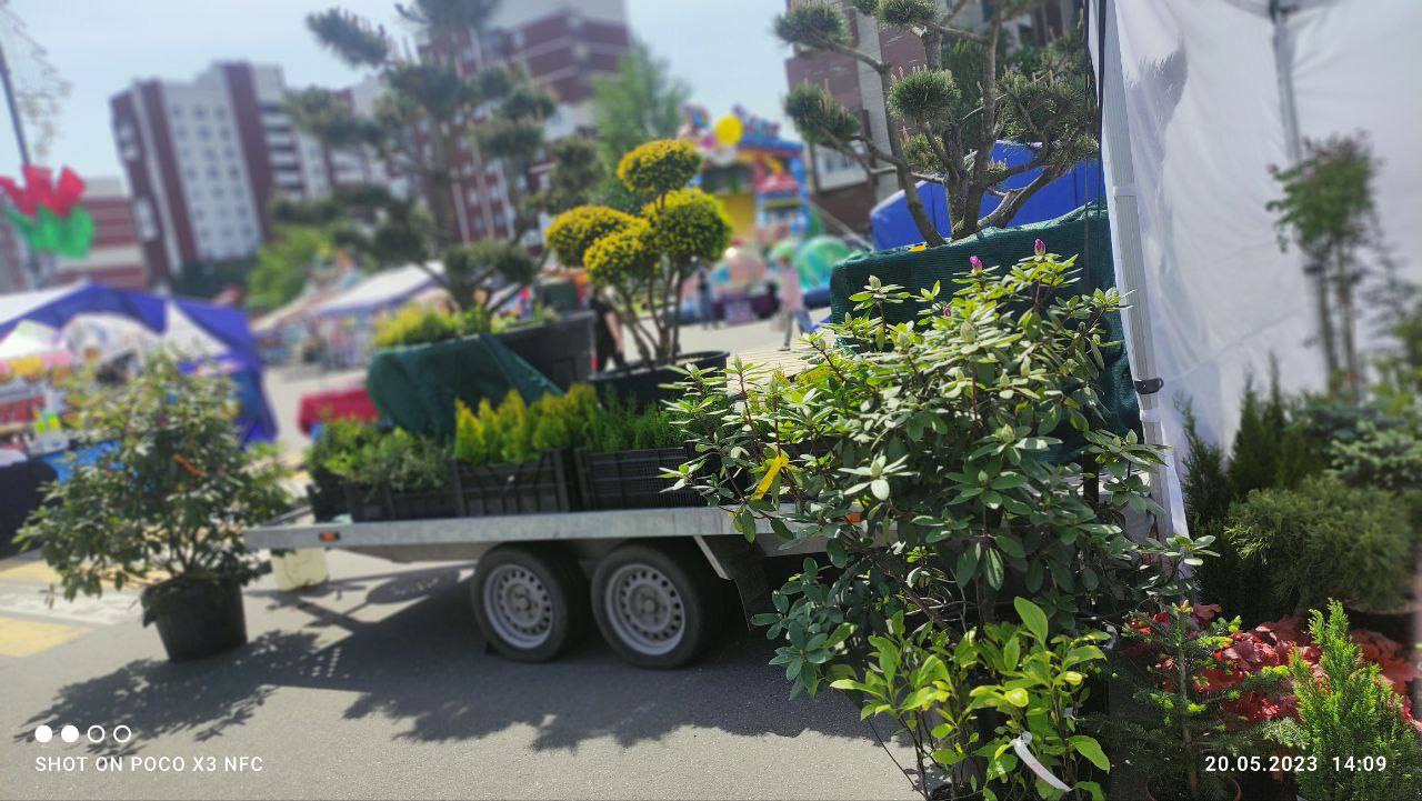 В Бресте на площадке у торгового центра «ЭКВАТОР» проходит выставка-ярмарка «Садовый маркет»