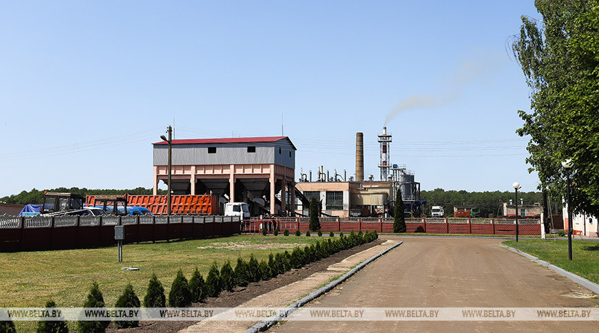 Новую производственную линию установили на торфобрикетном заводе в Жабинковском районе