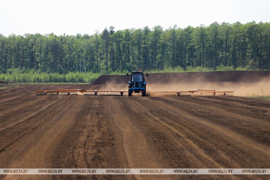 Новую производственную линию установили на торфобрикетном заводе в Жабинковском районе
