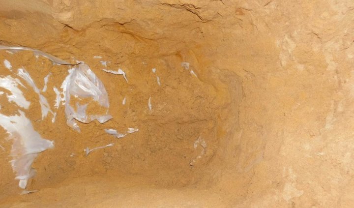 В Беларуси мужчина убил «соперника» и закопал его тело в подвале