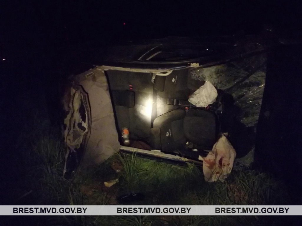 Молодой водитель сбил лося в Брестской области