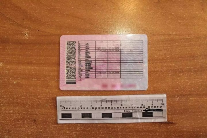 В России белорус показал ГИБДД поддельные «права» – вот как его наказали