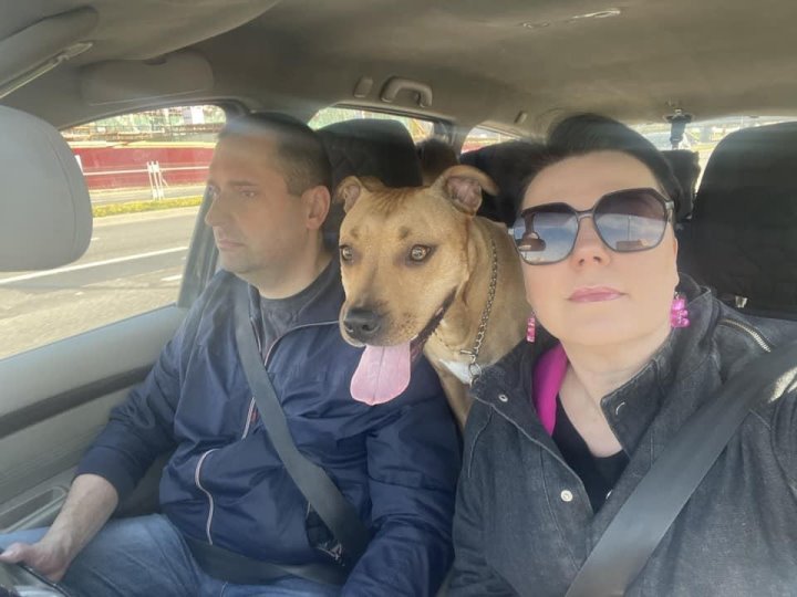 «Хороший корм стоит дорого, расходы приличные!». Белорусы о том, сколько тратят на содержание питомцев