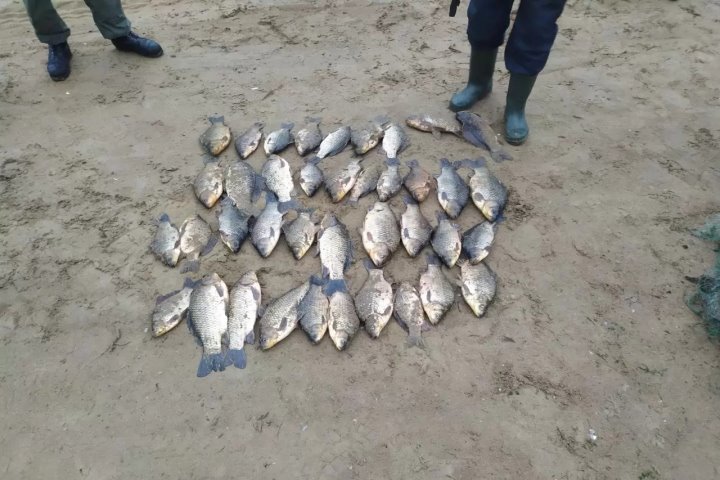 Рыбалка будет стоить двоим белорусам 5 тысяч рублей